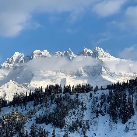 Les Oeillets, Les Portes Du Soleil Champoussin